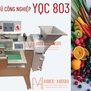 Máy thái rau củ quả YQC-803