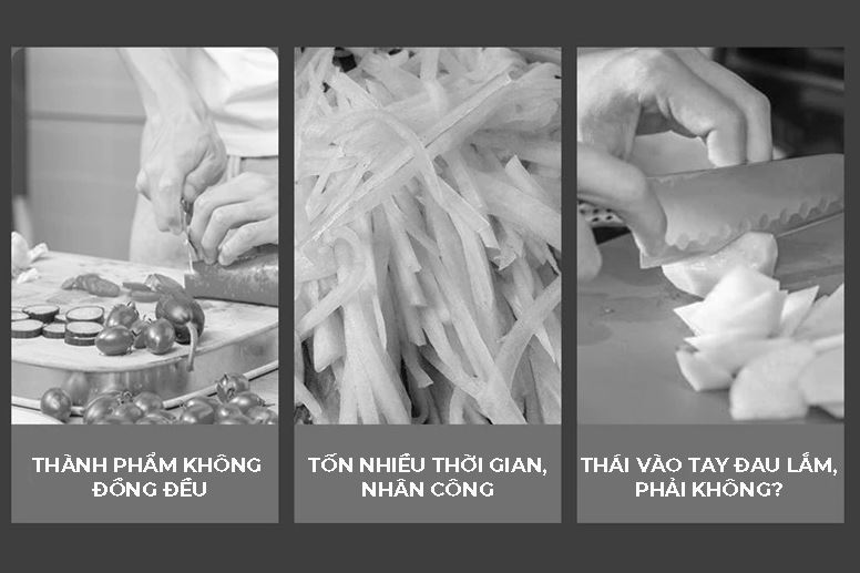 Máy Thái Rau Củ Quả YC380 6 Máy Thái Rau Củ Quả YC380